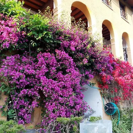 Il Carnasciale Pieve Di -bouganville- Σπίτι διακοπών Camaiore