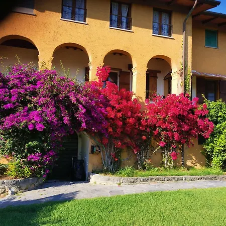 Il Carnasciale Pieve Di -bouganville- Σπίτι διακοπών Camaiore
