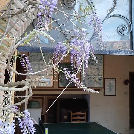Σπίτι διακοπών Il Carnasciale Pieve Di -bouganville- Camaiore