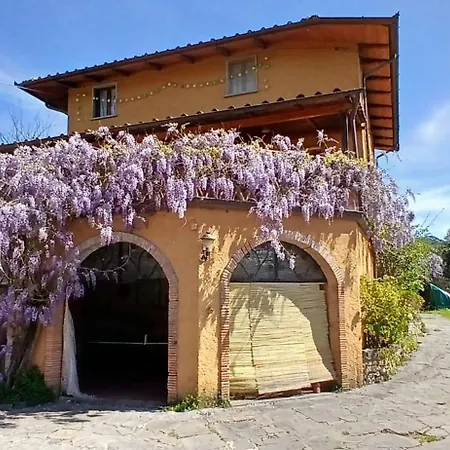 Il Carnasciale Pieve Di -bouganville- Σπίτι διακοπών Camaiore