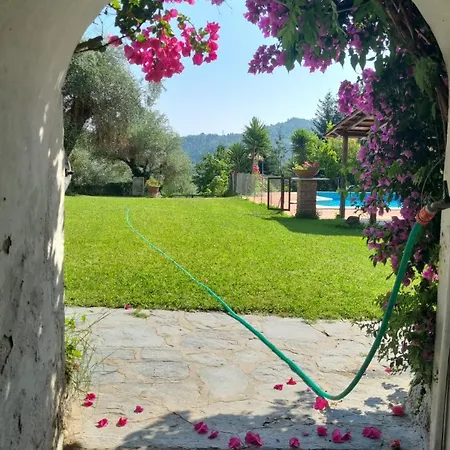 Il Carnasciale Pieve Di -bouganville- *