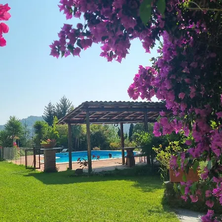 Il Carnasciale Pieve Di -bouganville- Camaiore