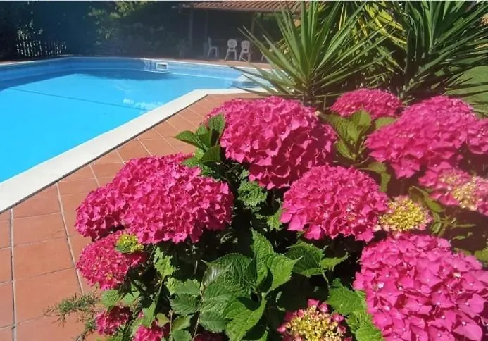 Ferienhaus Il Carnasciale Pieve Di -bouganville- Camaiore