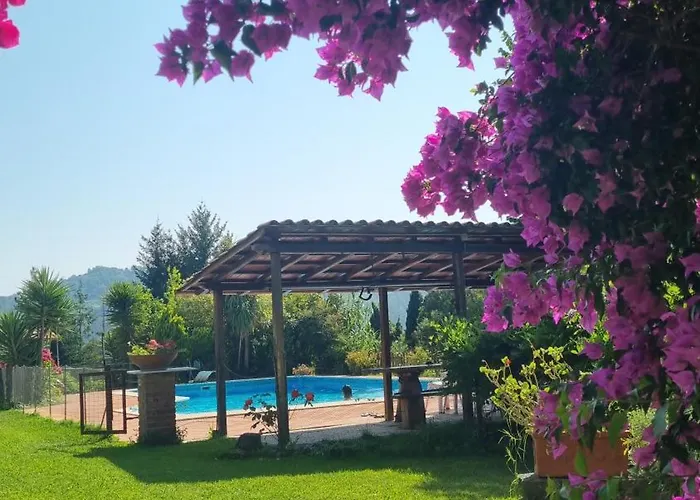 Il Carnasciale Pieve Di -bouganville- Camaiore